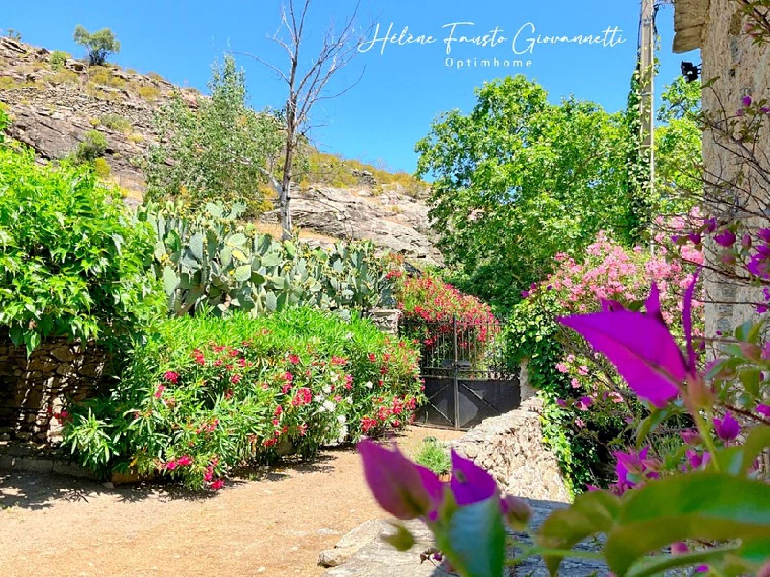  à vendre propriété Santo-Pietro-di-Tenda Haute-Corse 6