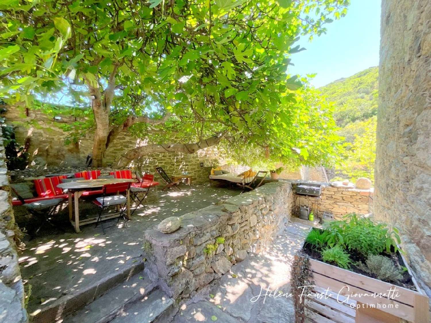  à vendre propriété Santo-Pietro-di-Tenda Haute-Corse 8