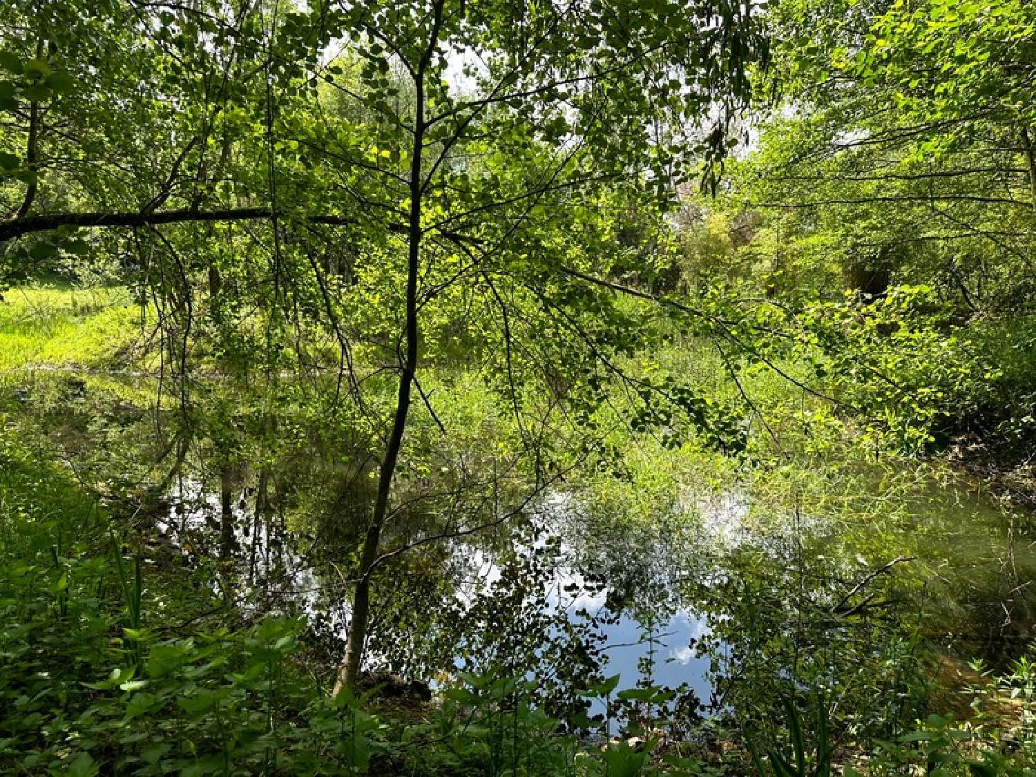 en venta finca rústica Saulieu Côte-d'Or 8