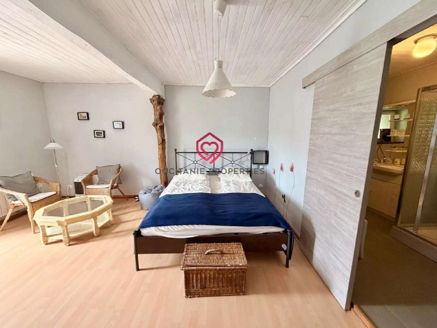  en venta finca rústica Soula Ariège 7