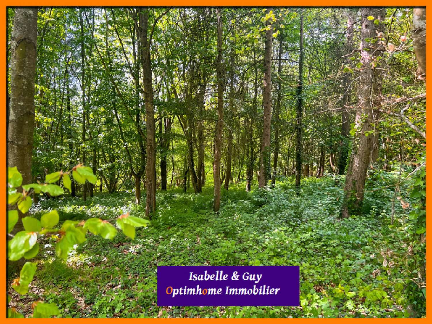 en venta finca rústica Verneuil-sur-Avre Eure 2