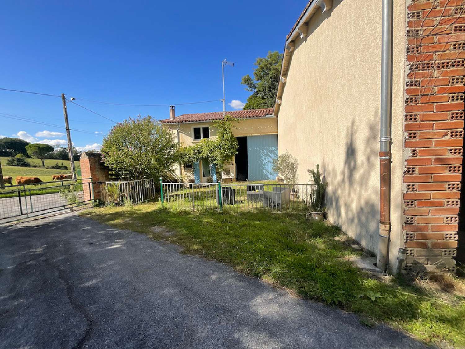 te koop boerderij Aiguefonde Tarn 3