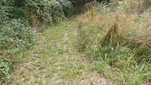  te koop boerderij Availles-Thouarsais Deux-Sèvres 2