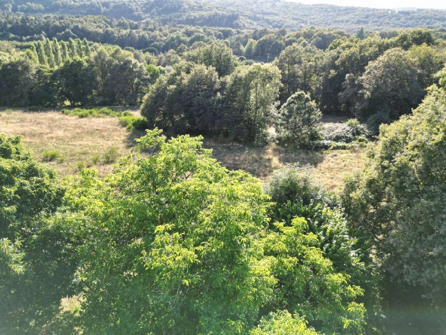 for sale farm Bessines-sur-Gartempe Haute-Vienne 5
