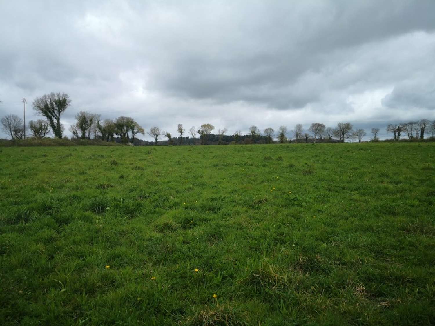  for sale farm Corlay Côtes-d'Armor 1