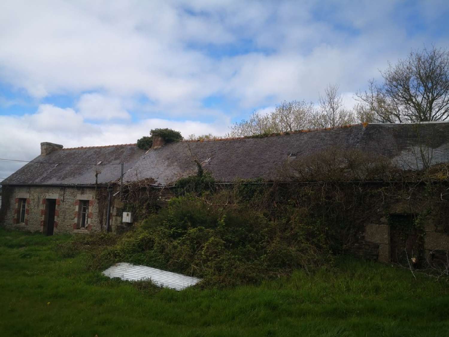  for sale farm Corlay Côtes-d'Armor 5