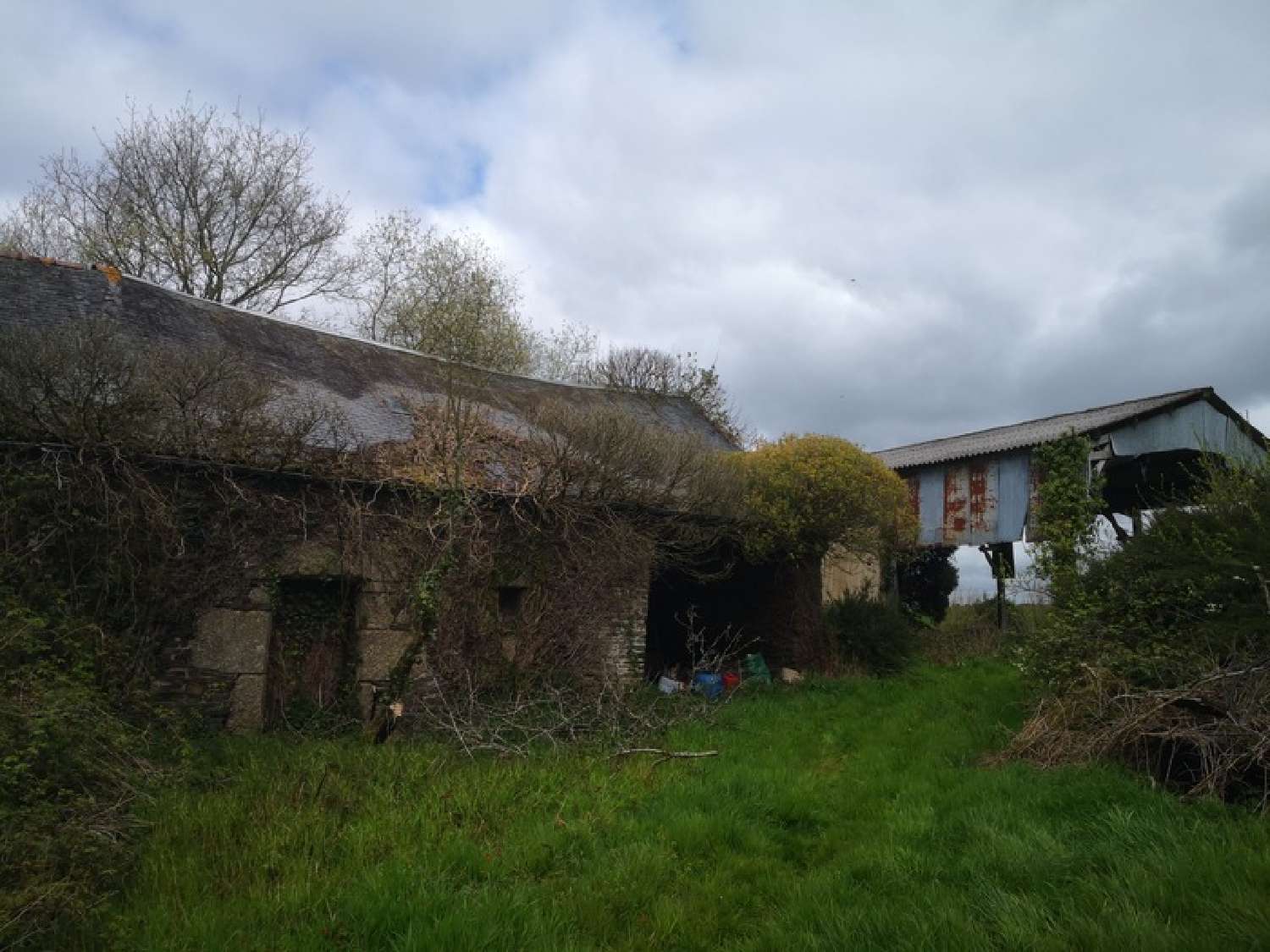  for sale farm Corlay Côtes-d'Armor 6