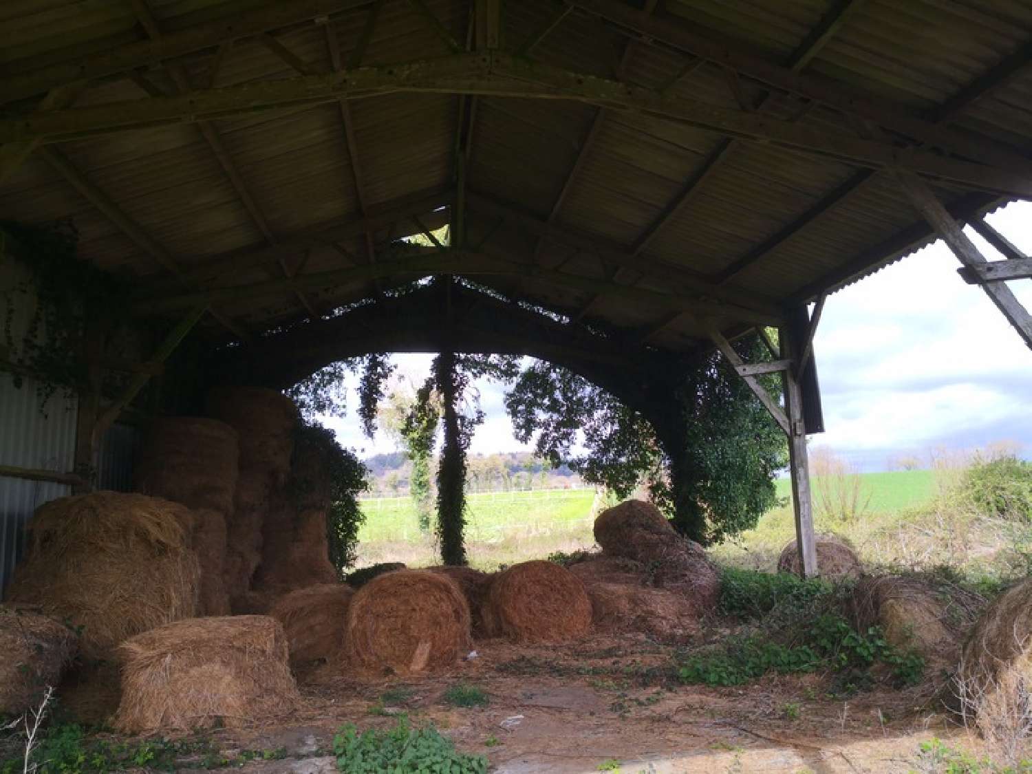  for sale farm Corlay Côtes-d'Armor 7