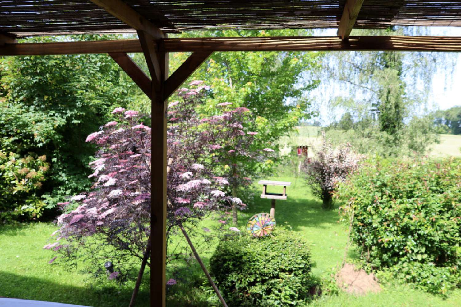  for sale farm Curciat-Dongalon Ain 4