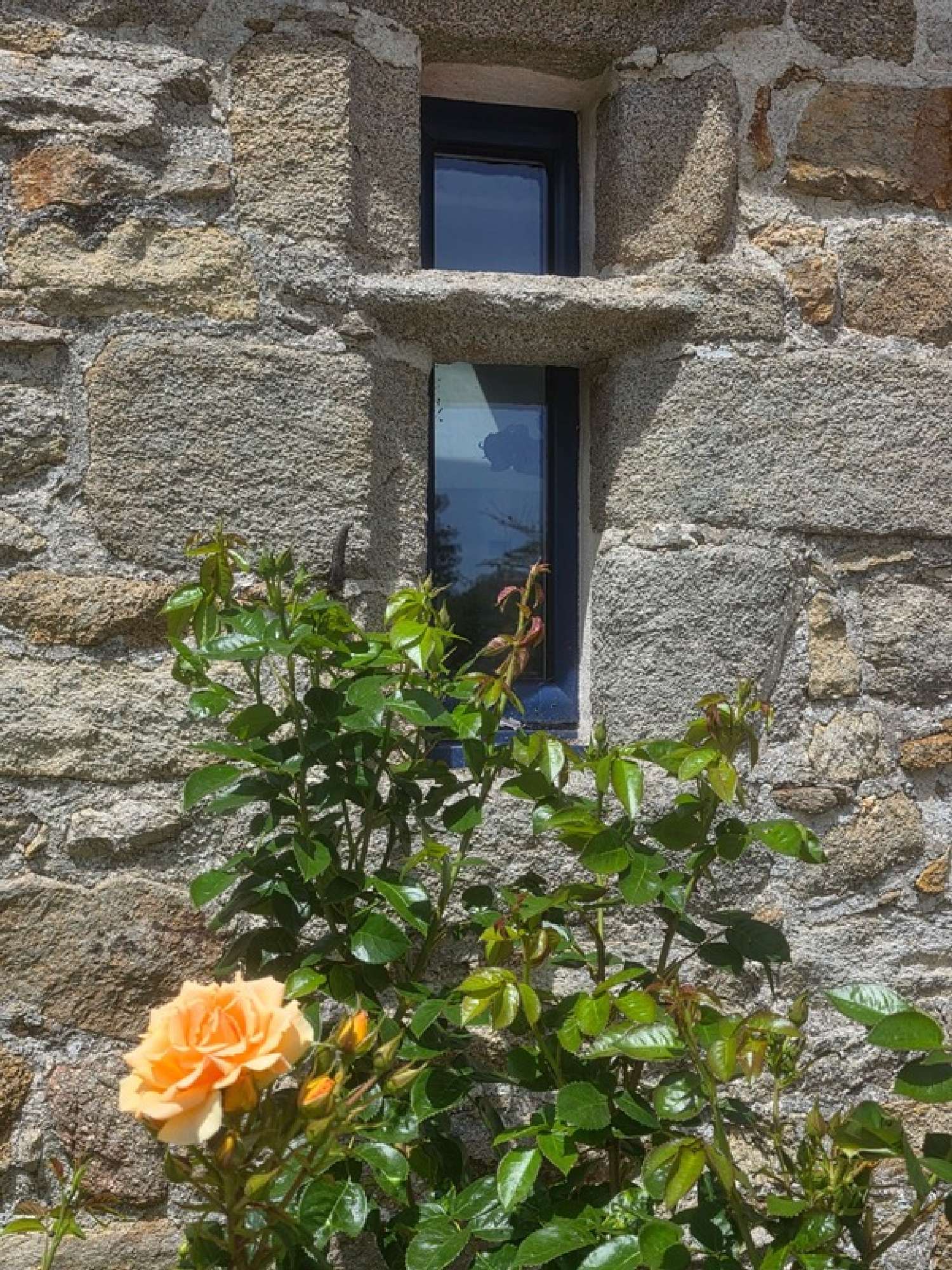 kaufen Bauernhof Esquibien Finistère 5