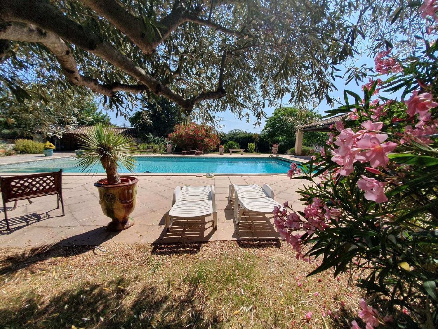  à vendre ferme Foissac Gard 6