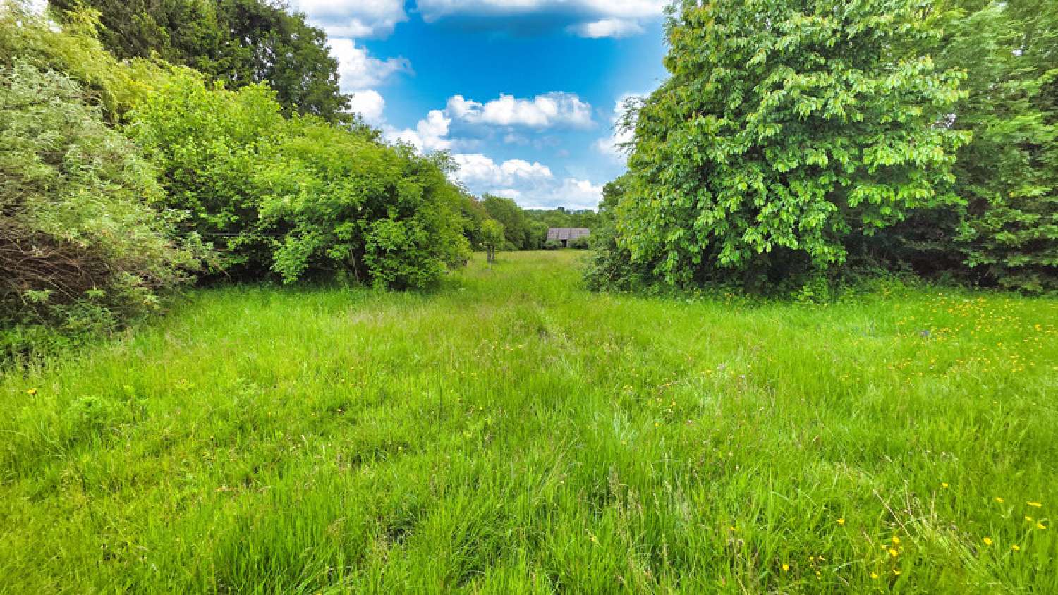  for sale farm Mauriac Cantal 6