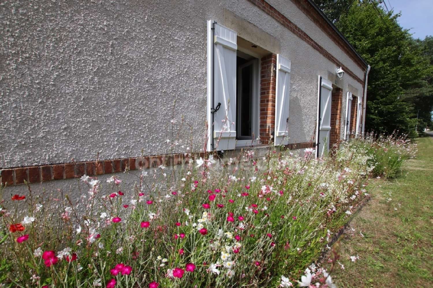  te koop boerderij Nançay Cher 1