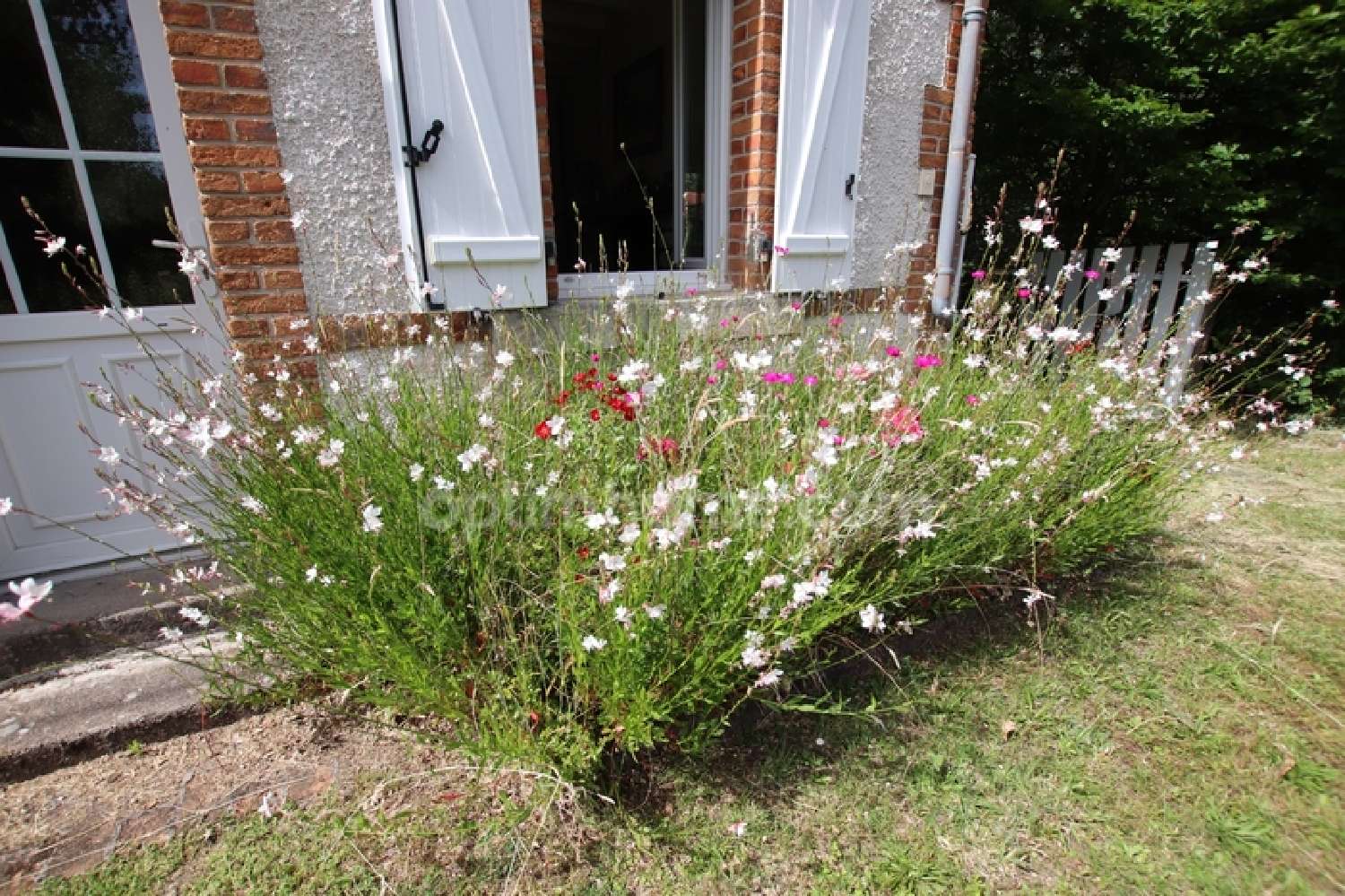  te koop boerderij Nançay Cher 4