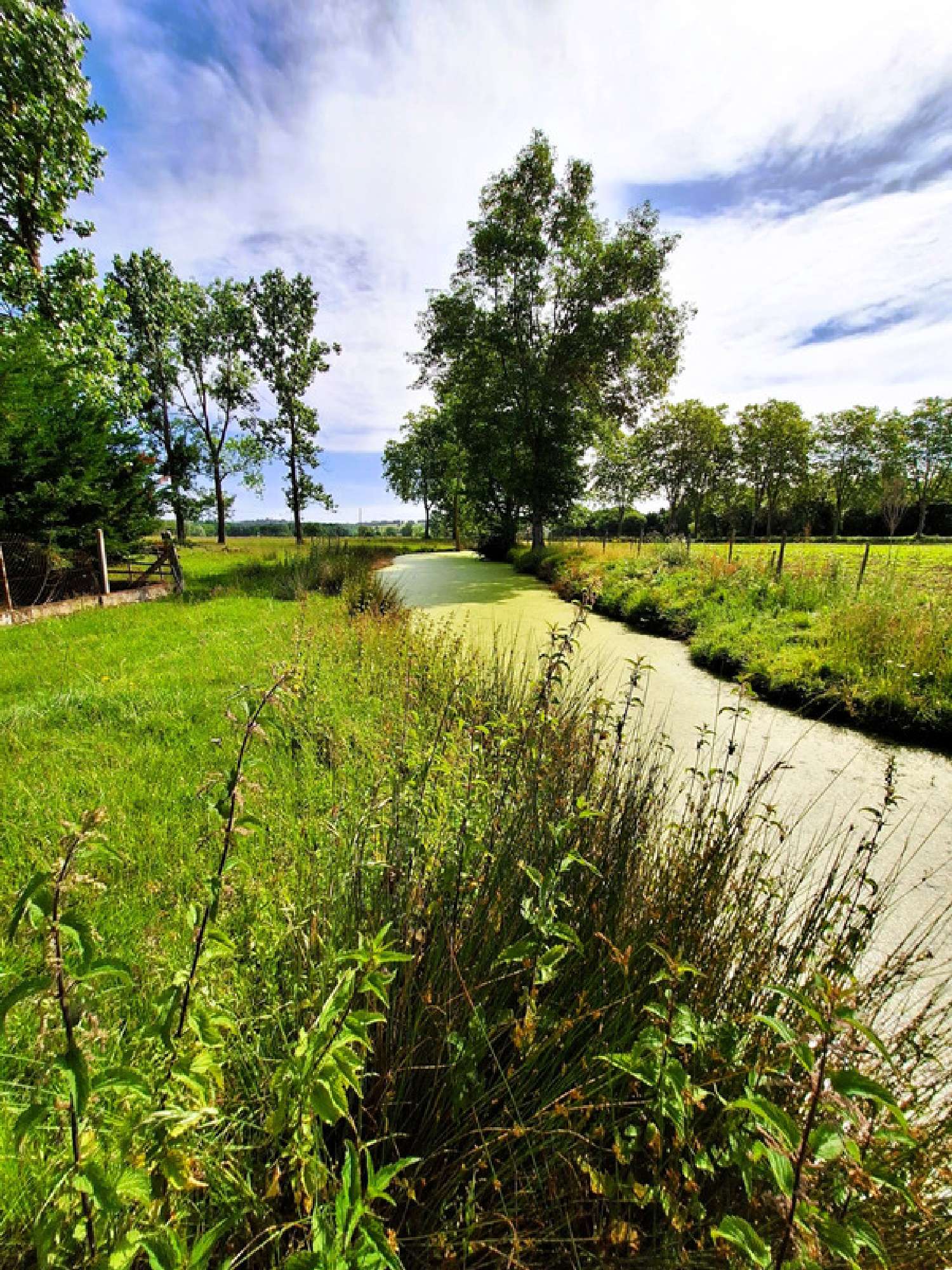 te koop boerderij Plaisance Gers 1
