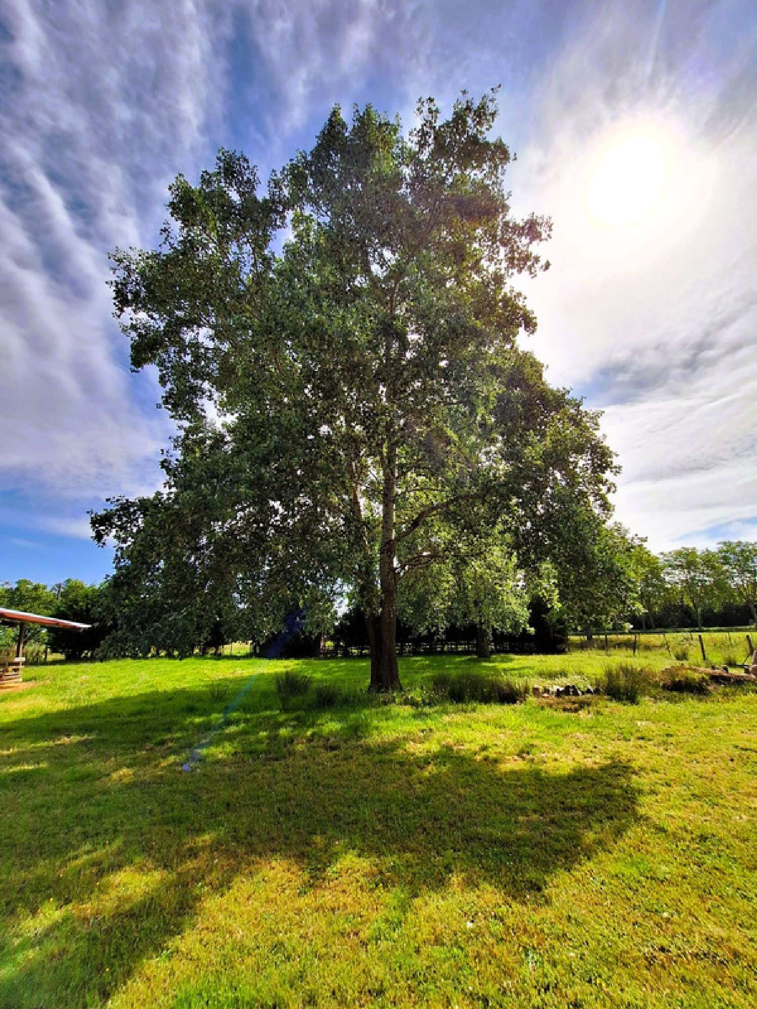 te koop boerderij Plaisance Gers 5