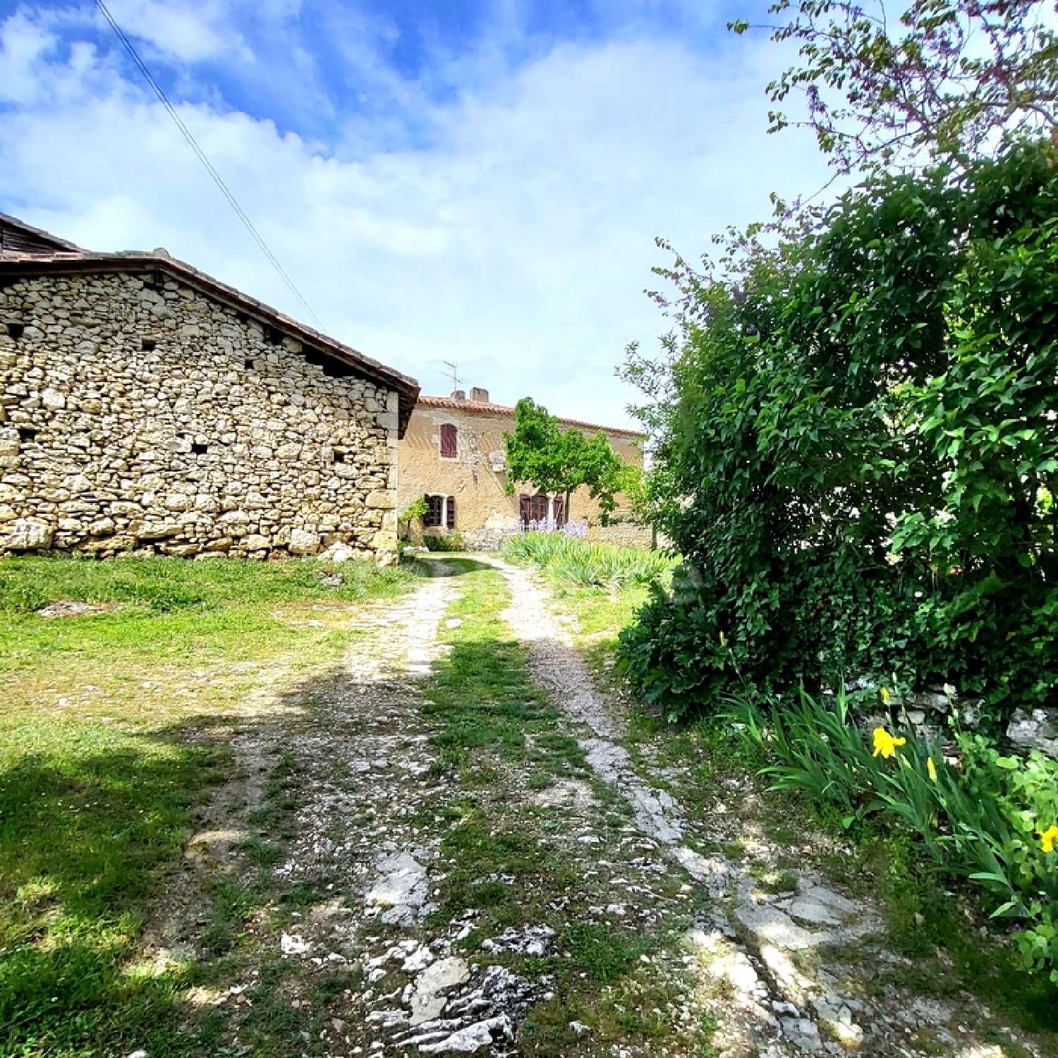  for sale farm Saint-Clar Gers 3