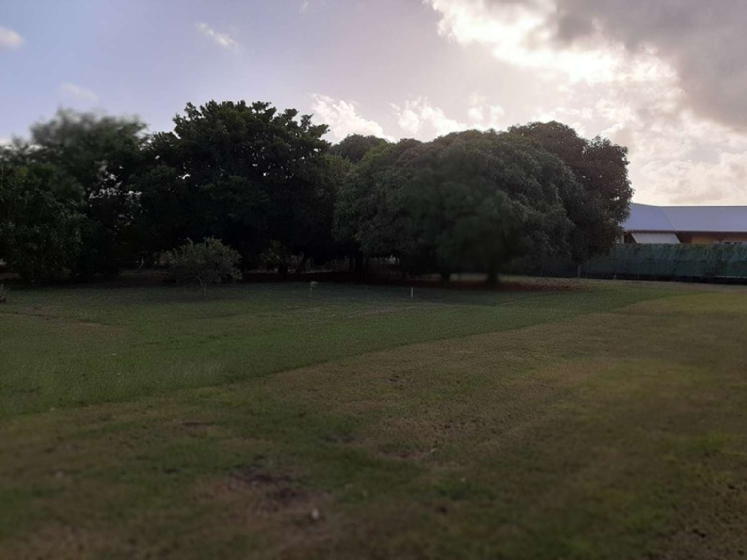 kaufen Bauernhof Saint-François Guadeloupe 4