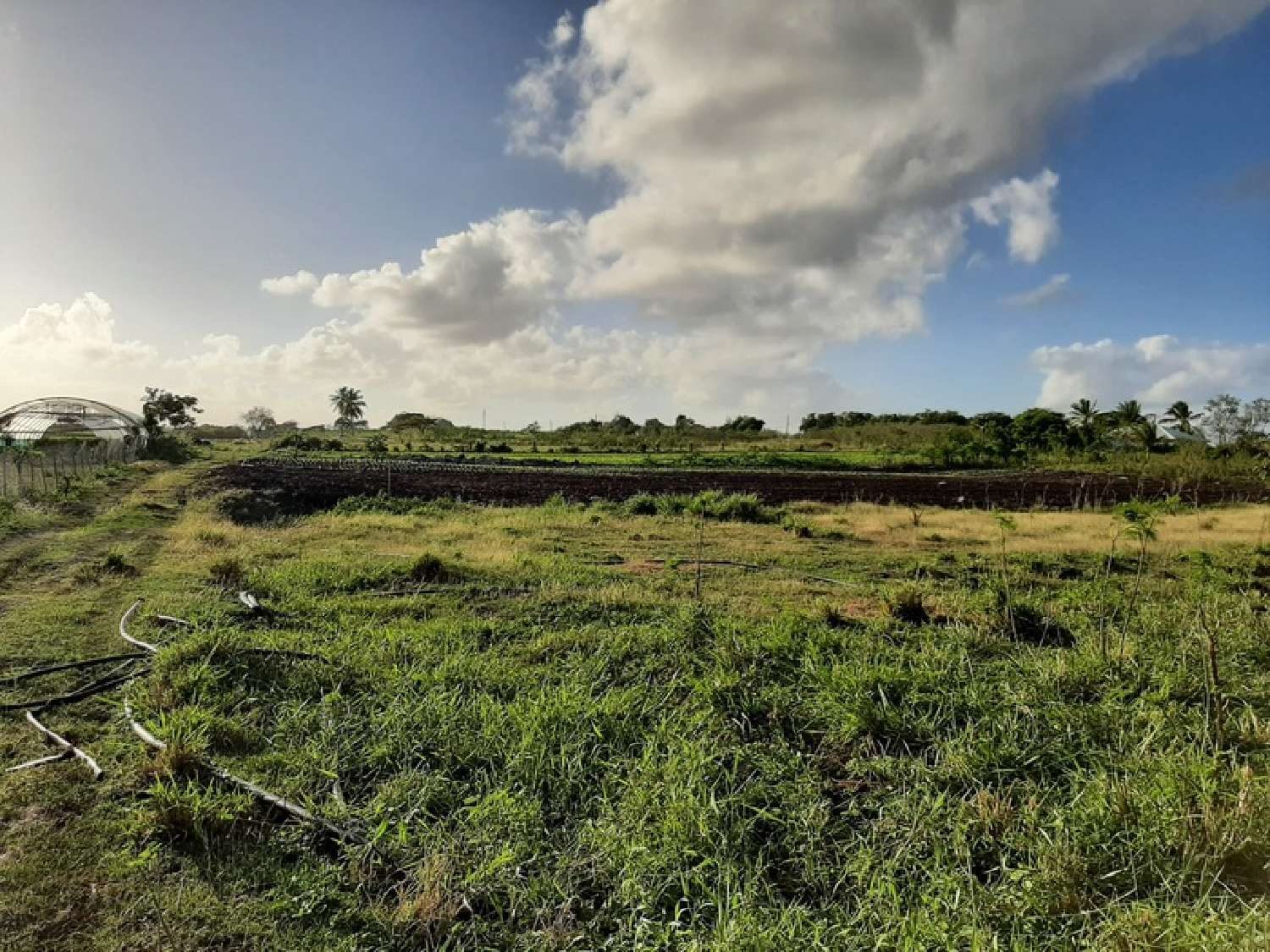 kaufen Bauernhof Saint-François Guadeloupe 7