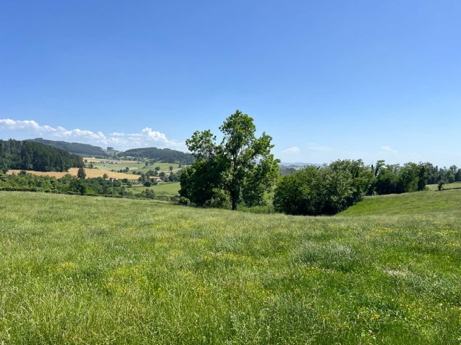 kaufen Bauernhof Saint-Laurent-en-Brionnais Saône-et-Loire 6