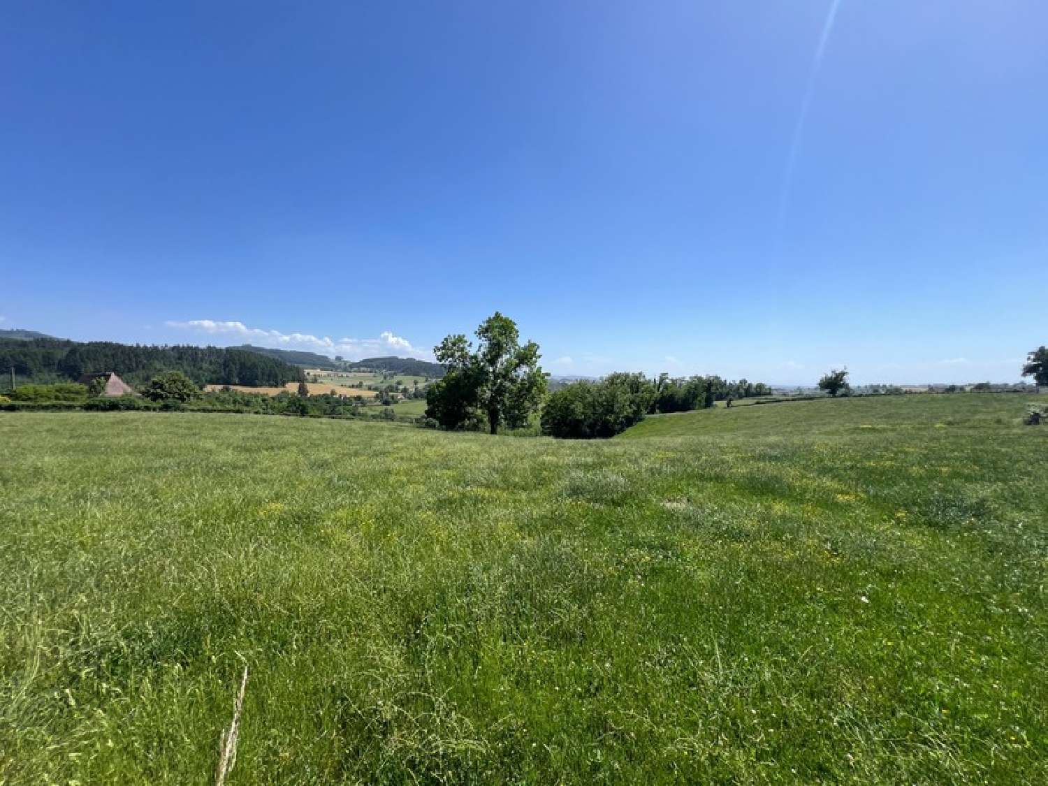 kaufen Bauernhof Saint-Laurent-en-Brionnais Saône-et-Loire 7