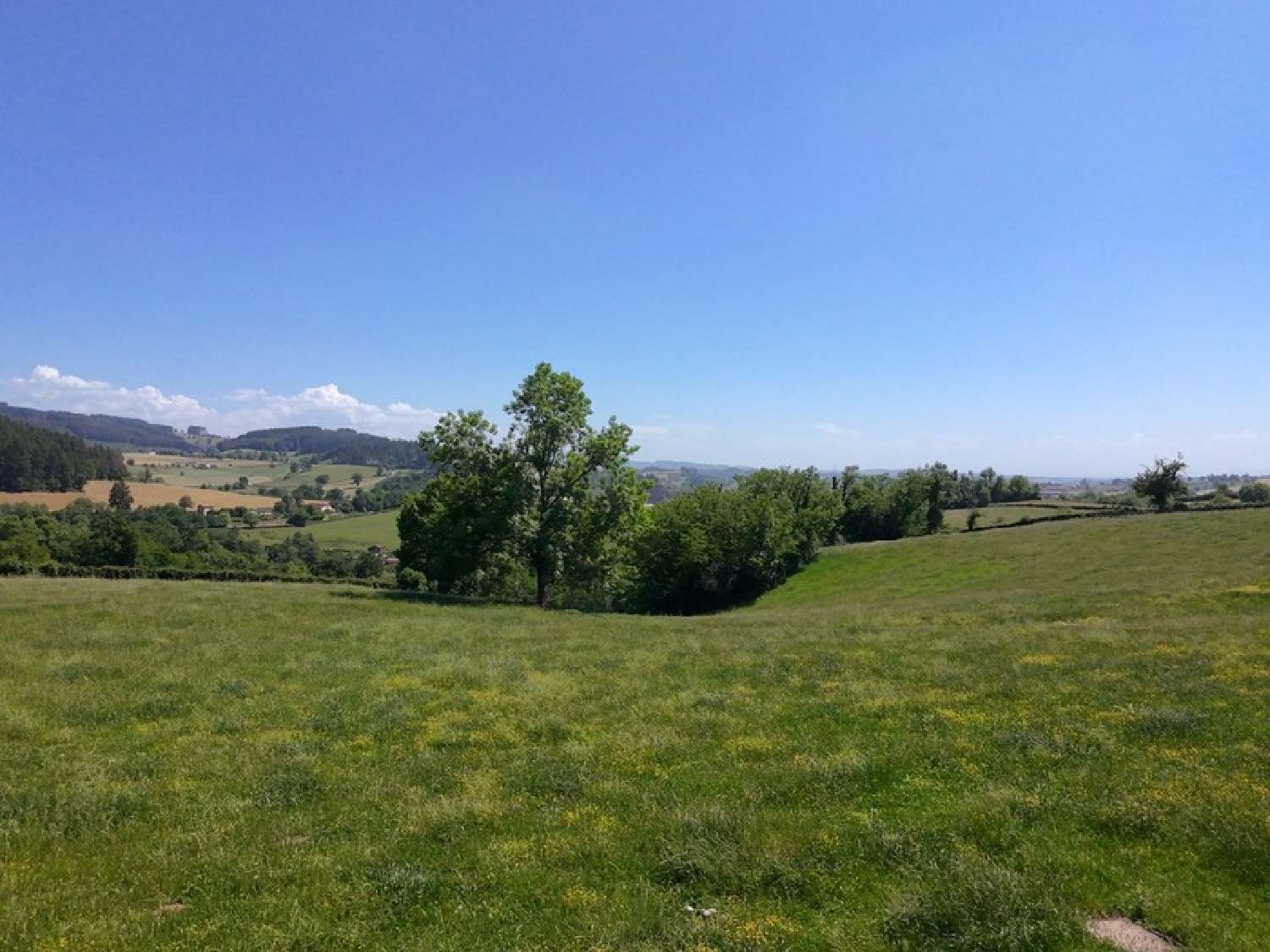 kaufen Bauernhof Saint-Laurent-en-Brionnais Saône-et-Loire 8