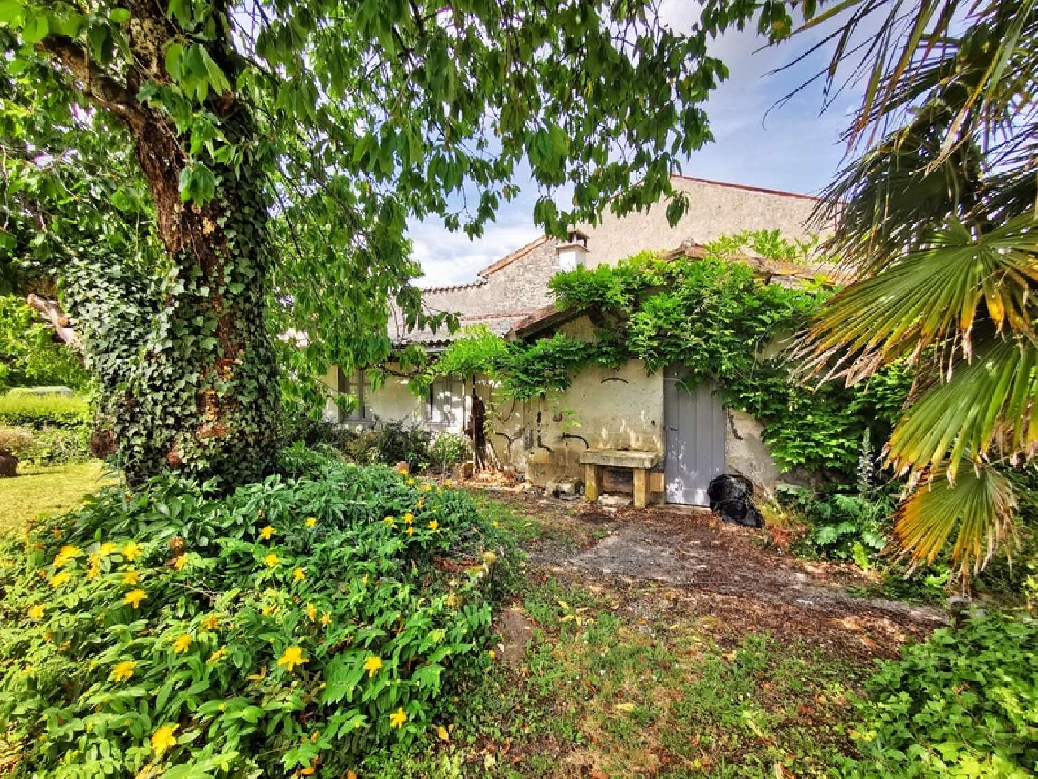  te koop boerderij Saint-Sulpice-de-Cognac Charente 2