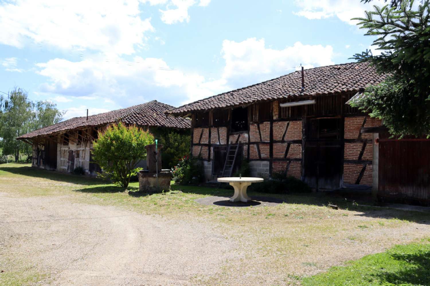 te koop boerderij Saint-Trivier-de-Courtes Ain 2