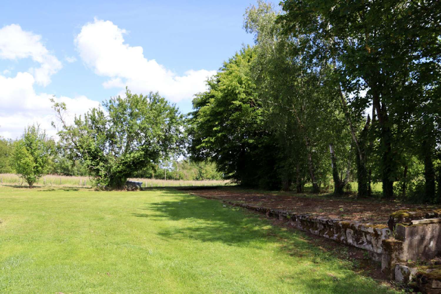 te koop boerderij Saint-Trivier-de-Courtes Ain 3