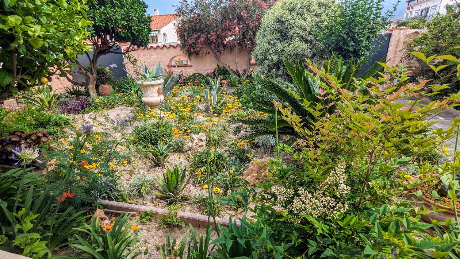  à vendre maison Saint-André Pyrénées-Orientales 3