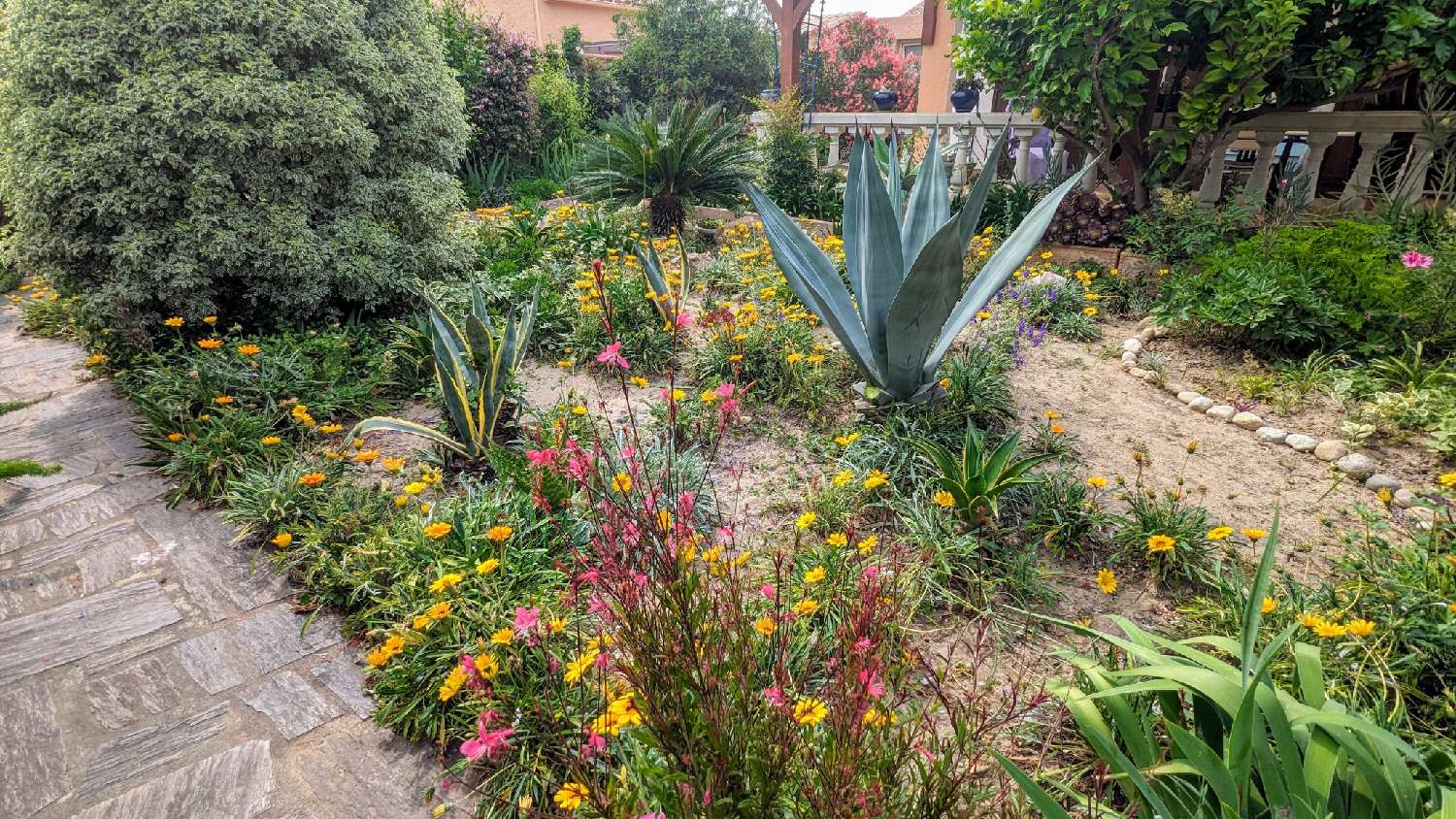  à vendre maison Saint-André Pyrénées-Orientales 4