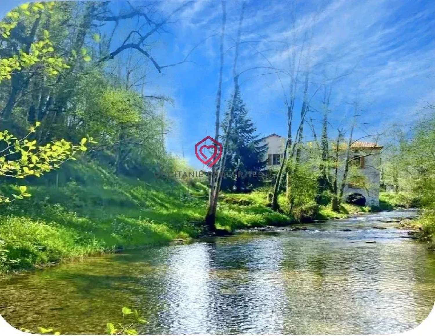  for sale house Arbas Haute-Garonne 1