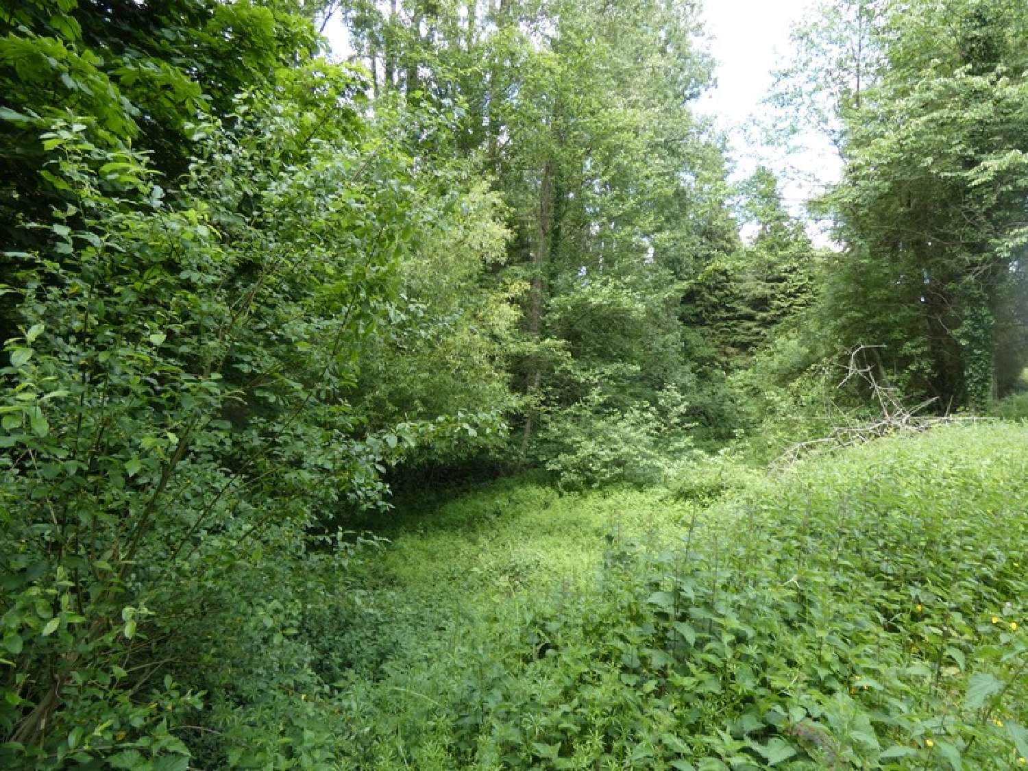for sale house Argentan Orne 3