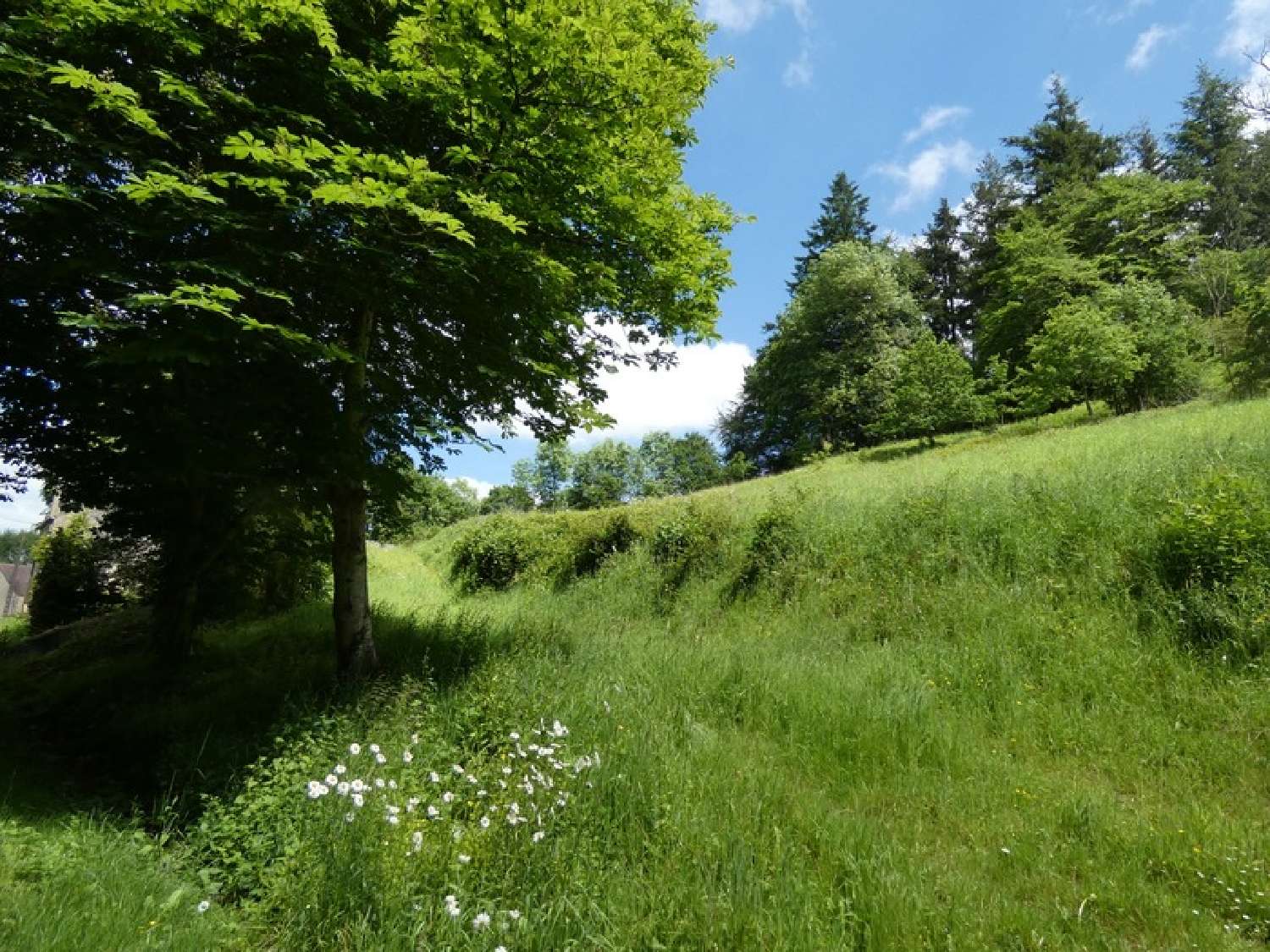 for sale house Argentan Orne 4