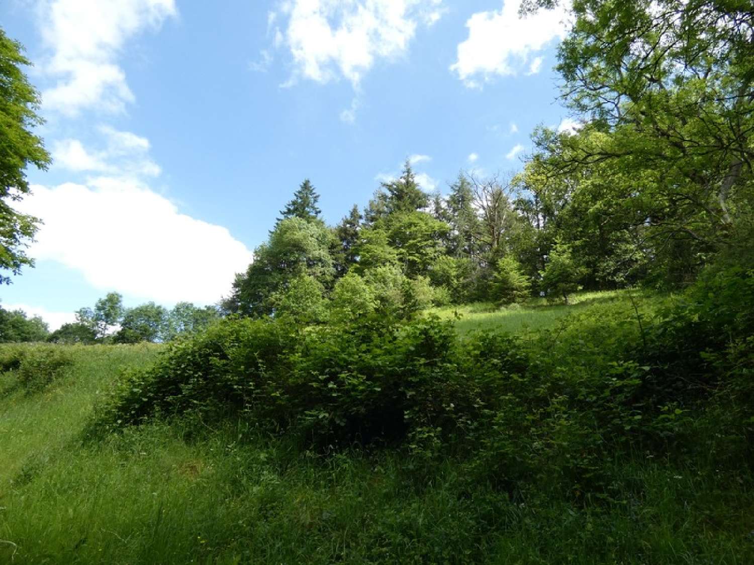 for sale house Argentan Orne 5