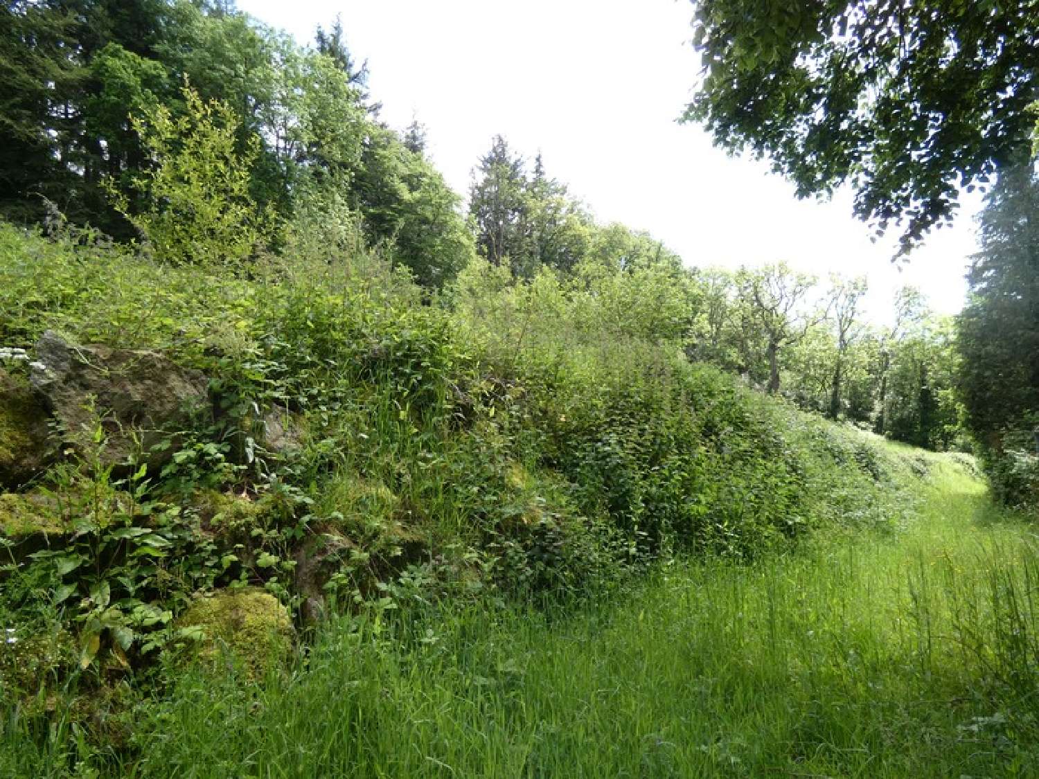 for sale house Argentan Orne 6