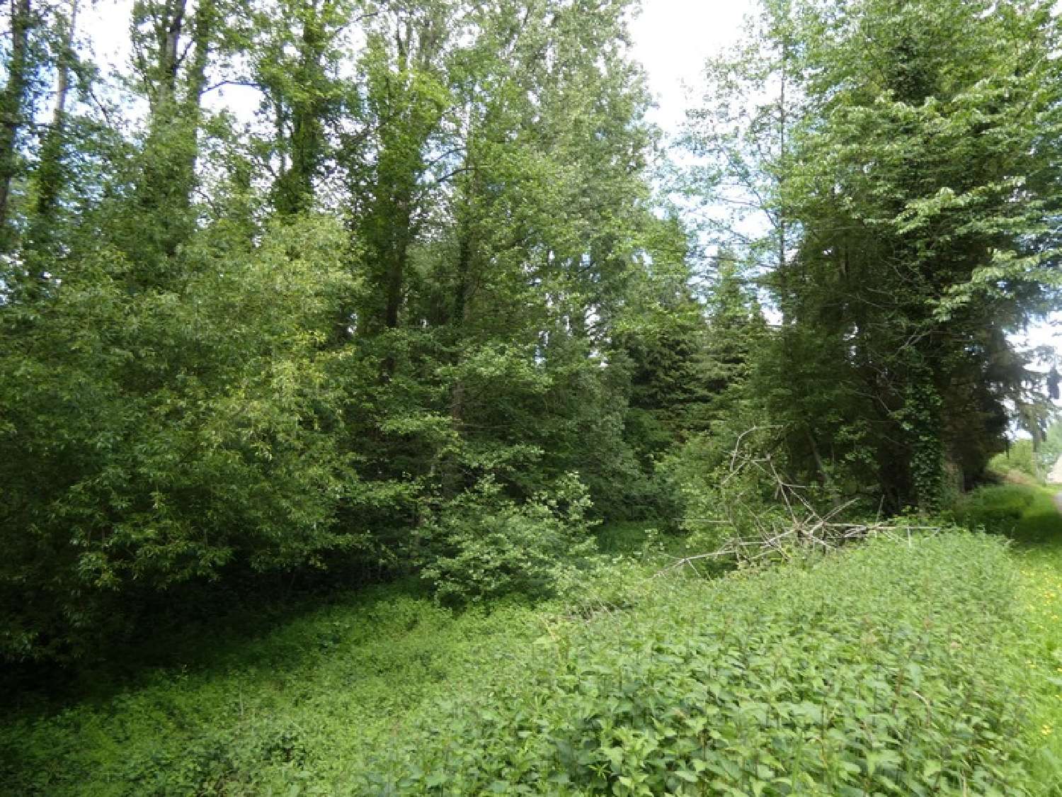 for sale house Argentan Orne 7