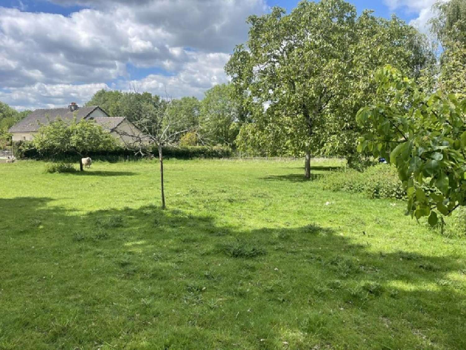  te koop huis Argenvilliers Eure-et-Loir 3
