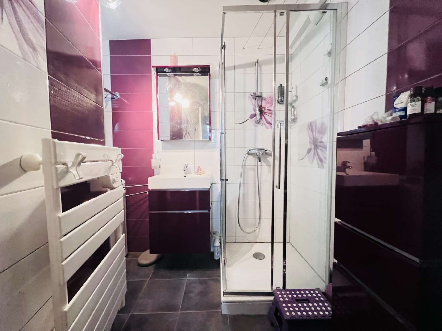 te koop huis Auneau Eure-et-Loir 4