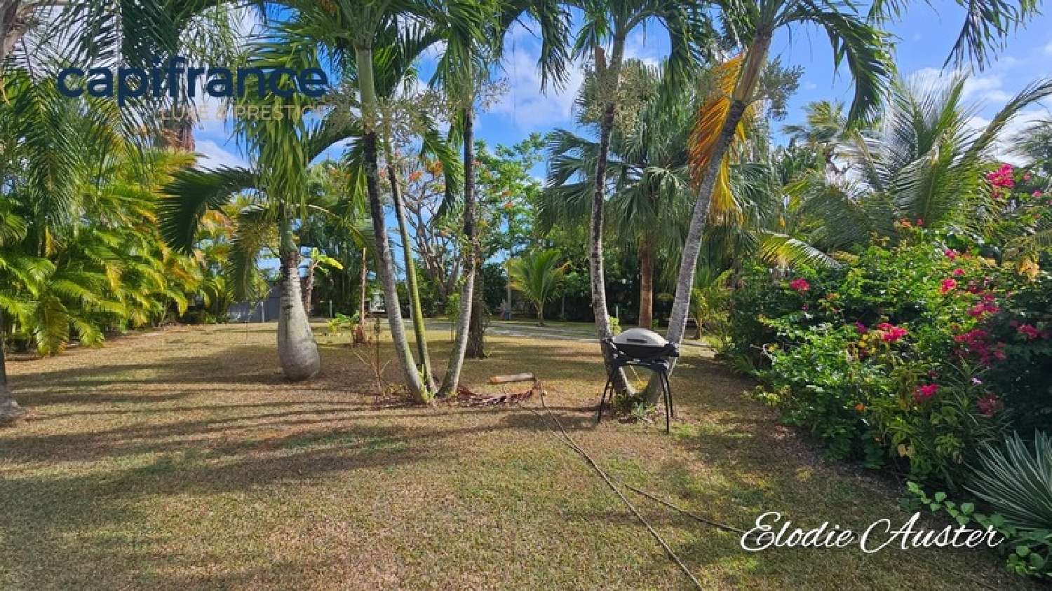 kaufen Haus Baie-Mahault Guadeloupe 2