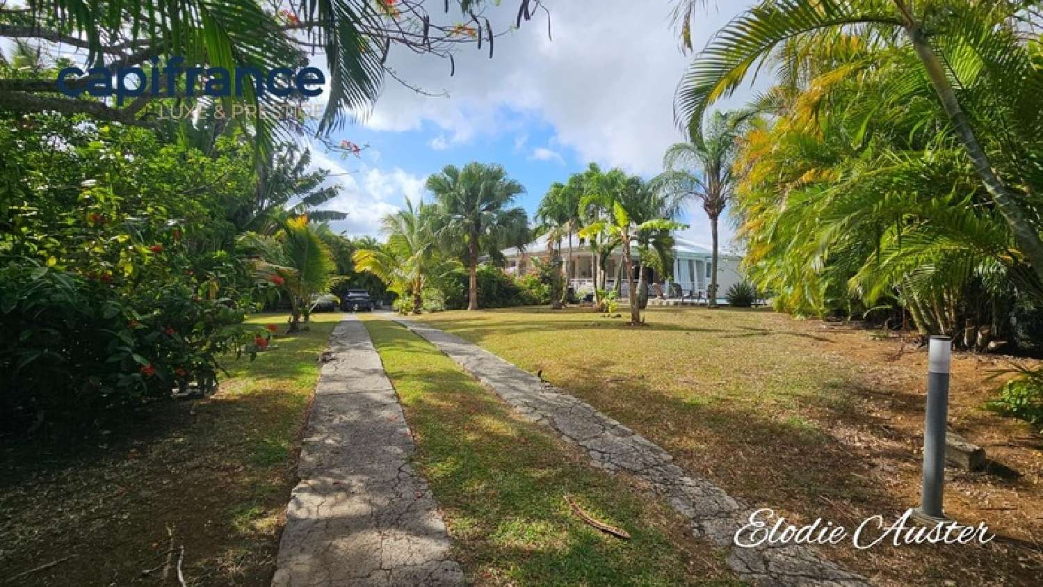 kaufen Haus Baie-Mahault Guadeloupe 3