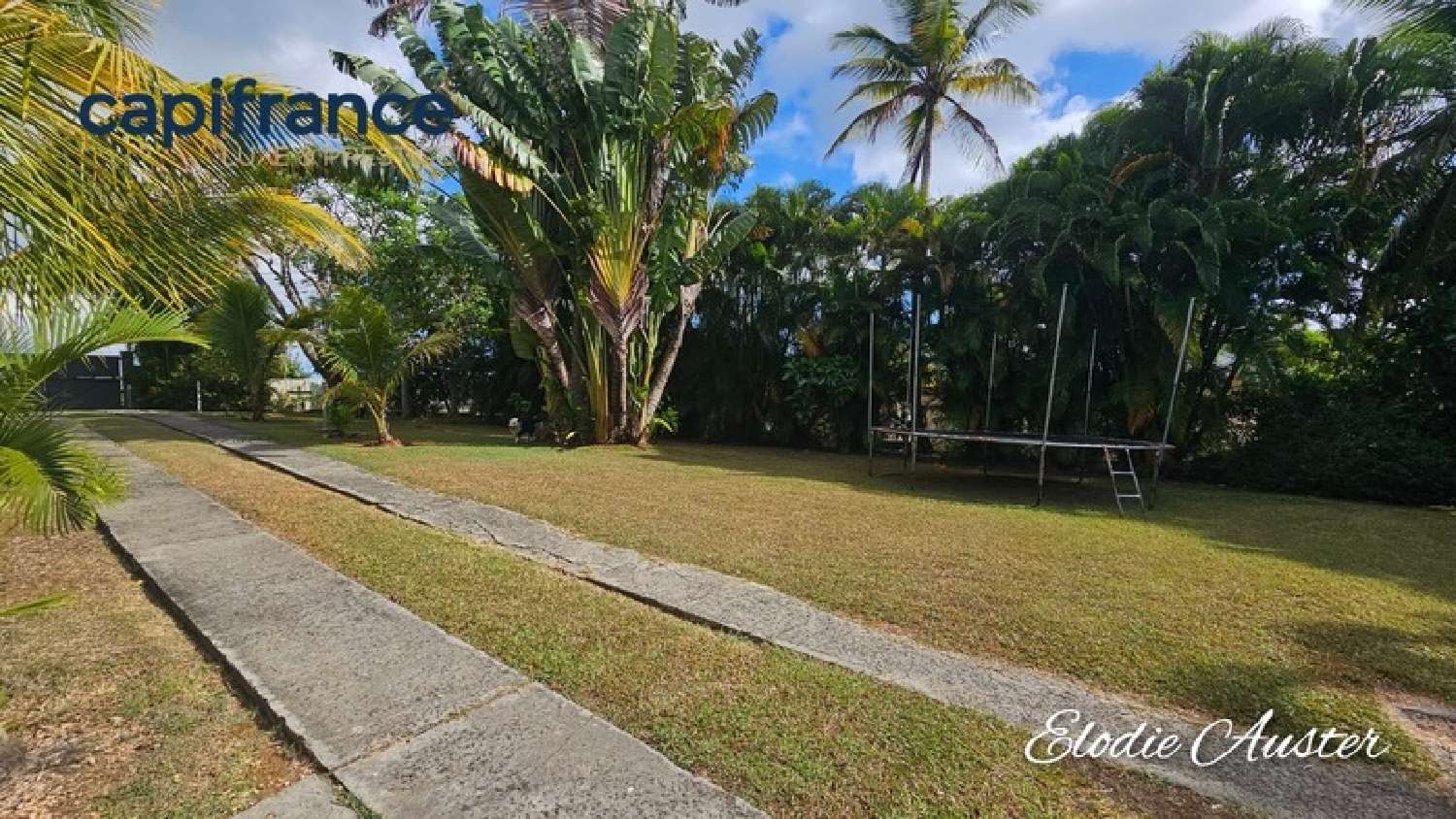 kaufen Haus Baie-Mahault Guadeloupe 4