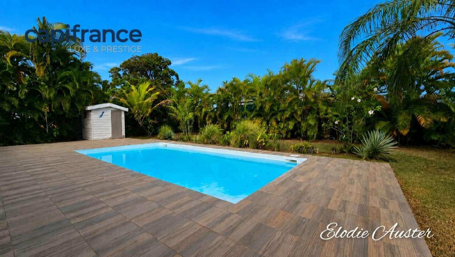 kaufen Haus Baie-Mahault Guadeloupe 6