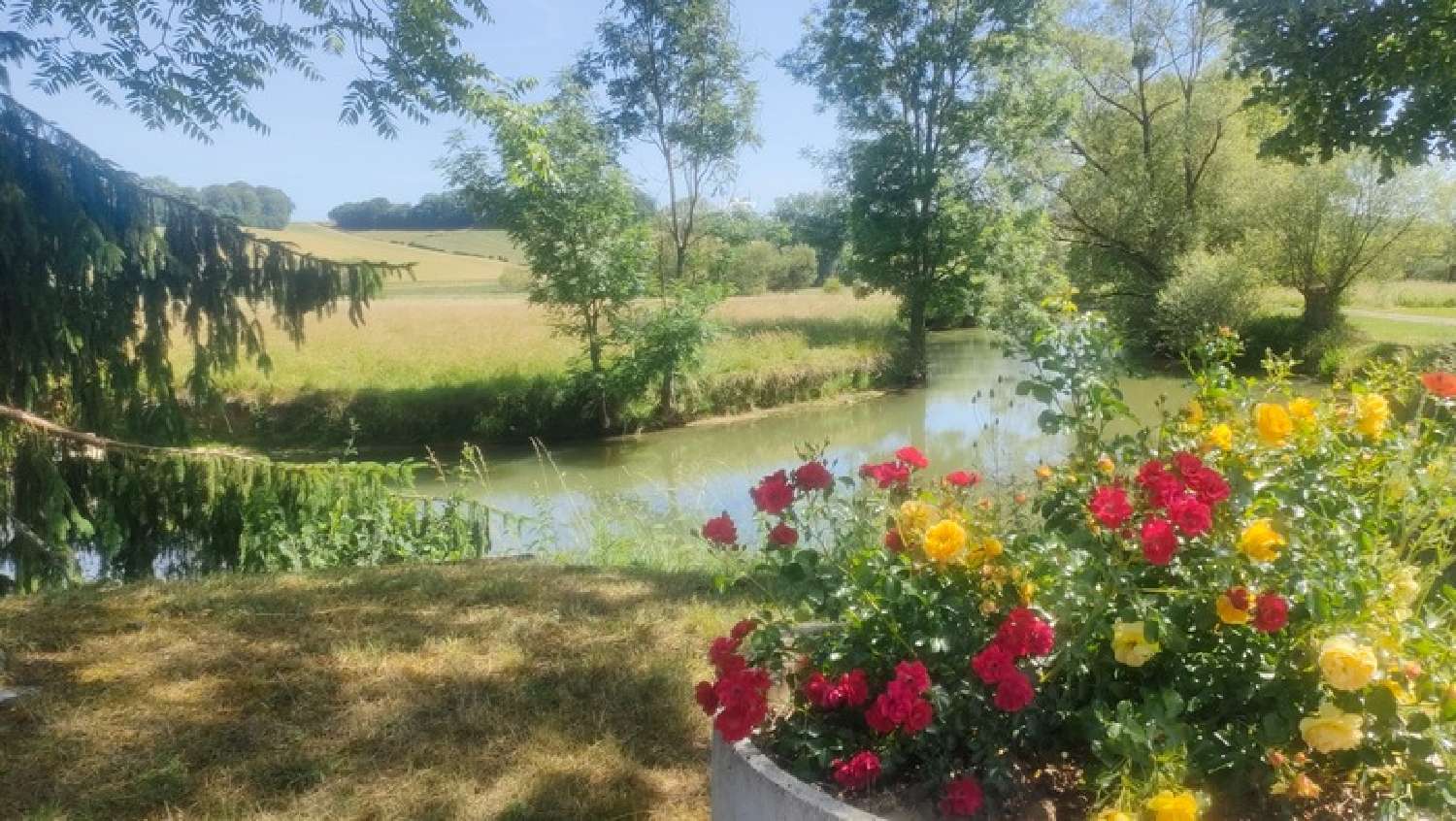  kaufen Haus Barville Vogesen 4