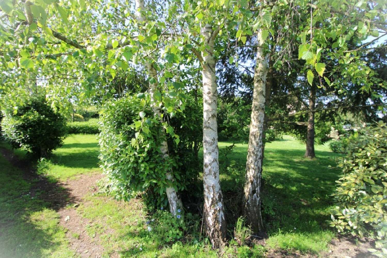 for sale house Baugé-en-Anjou Maine-et-Loire 8
