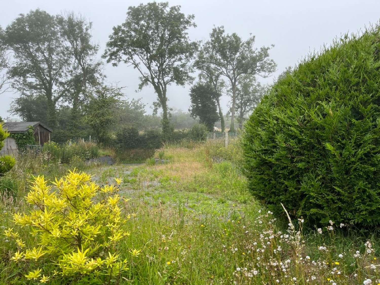  te koop huis Beaubigny Manche 5