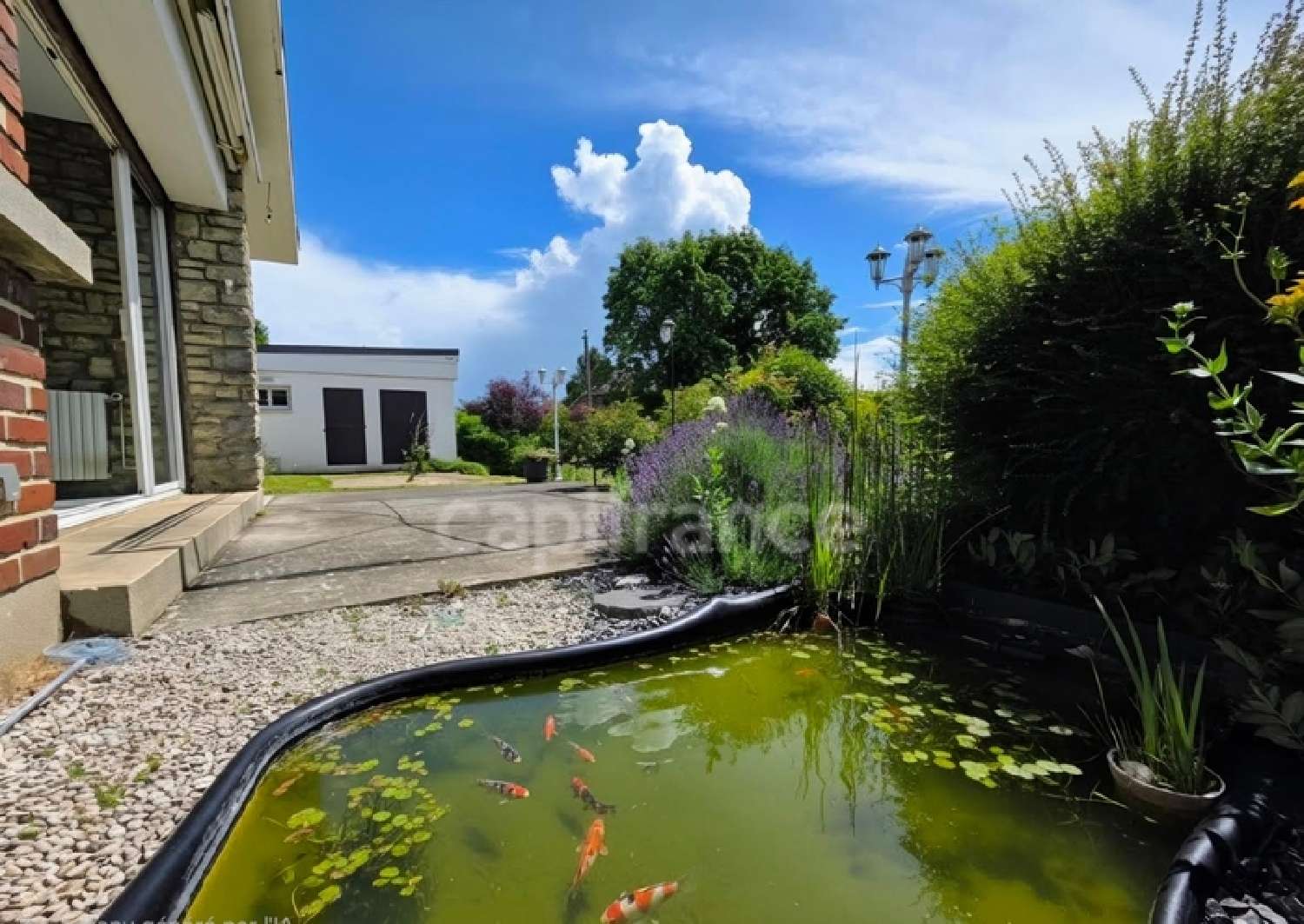  kaufen Haus Blangy-sur-Bresle Seine-Maritime 3