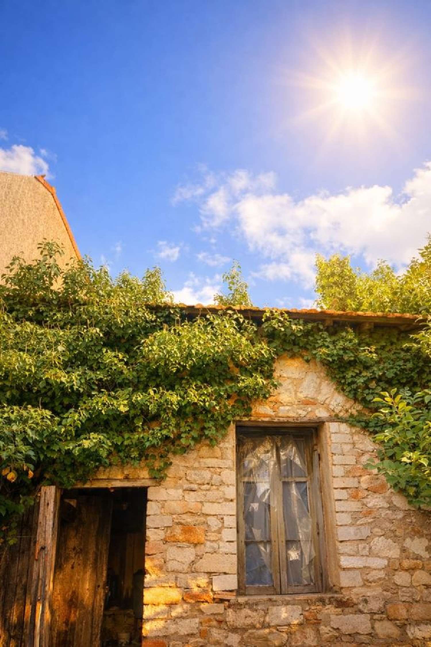 en venta casa Bouzigues Hérault 2