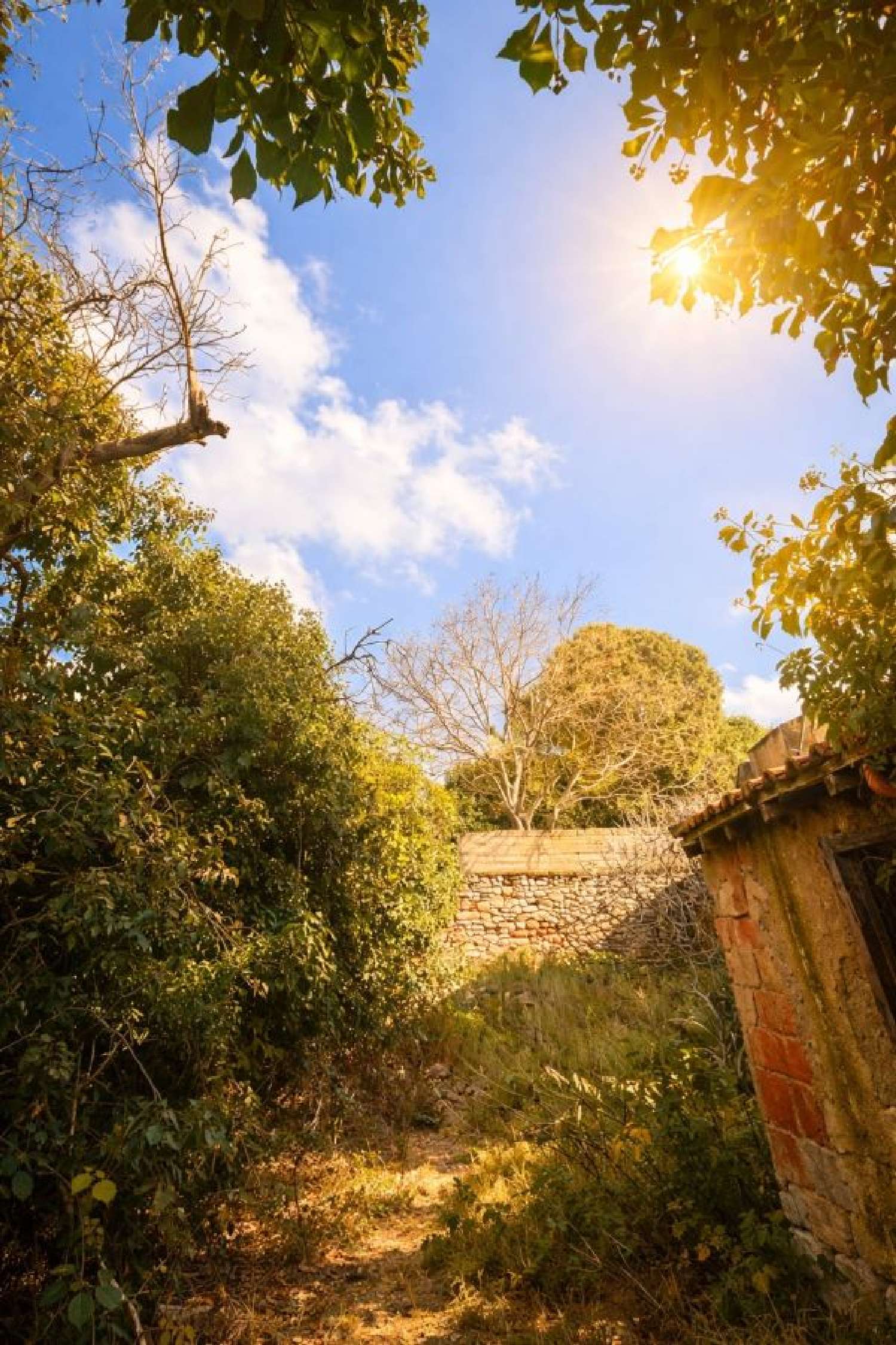 en venta casa Bouzigues Hérault 5