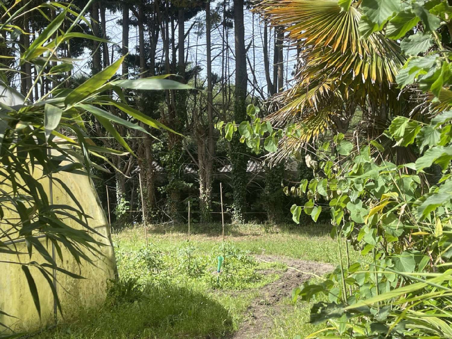en venta casa Brain-sur-Allonnes Maine-et-Loire 5